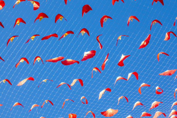 蓝天背景下的绢扇图片下载