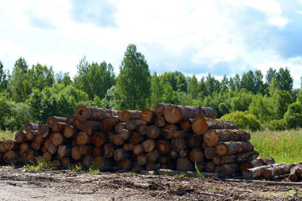 木材工业图片下载