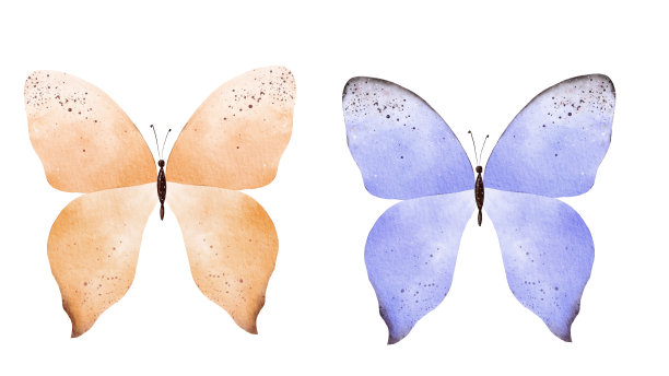 手绘彩色蝴蝶。水彩手绘收藏。理想的邀请，卡片，壁纸，印刷织物。图片下载