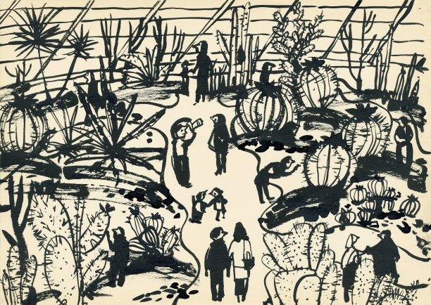 公共橘园。温室之旅。温室花园。图片下载