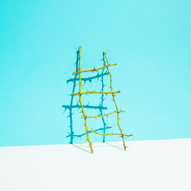 挑战成功的商业比喻和创业问题爬上荆棘的梯子。每一层。图片下载