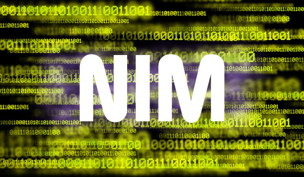 文字Nim和抽象网络空间与二进制暗色背景。图片下载