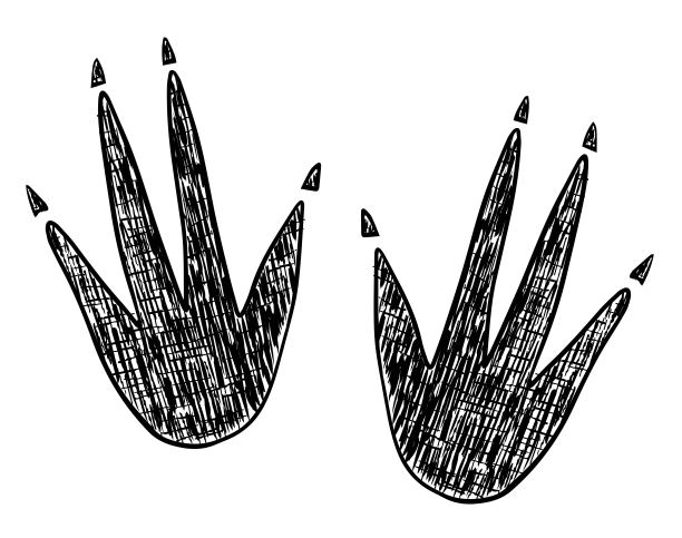 手绘风格的恐龙翼龙爪迹图片下载