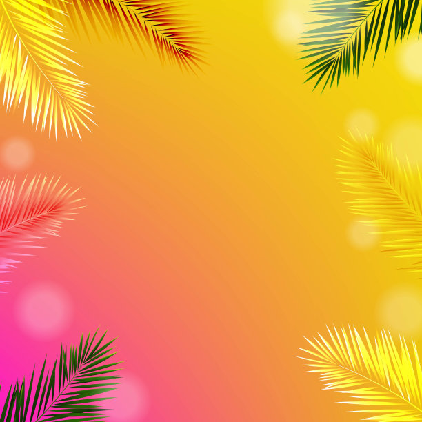 有热带海滩和热带树叶的旗帜图片下载