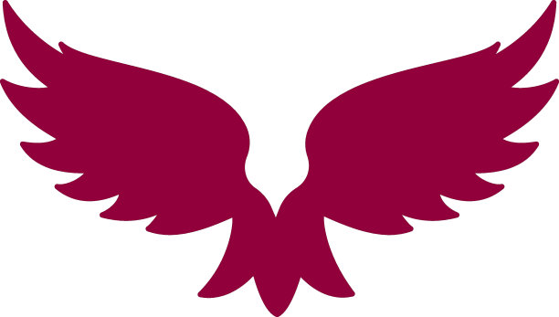 鸟向量。飞鸟的飞行设计。图片下载