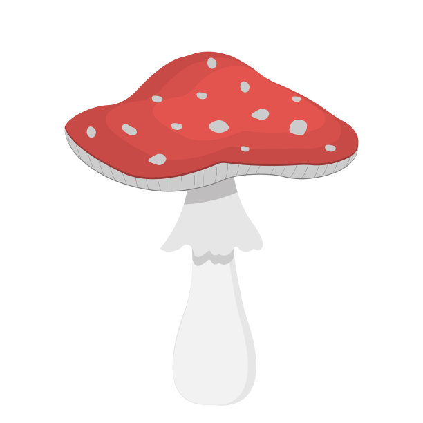 飞行伞菌图片下载