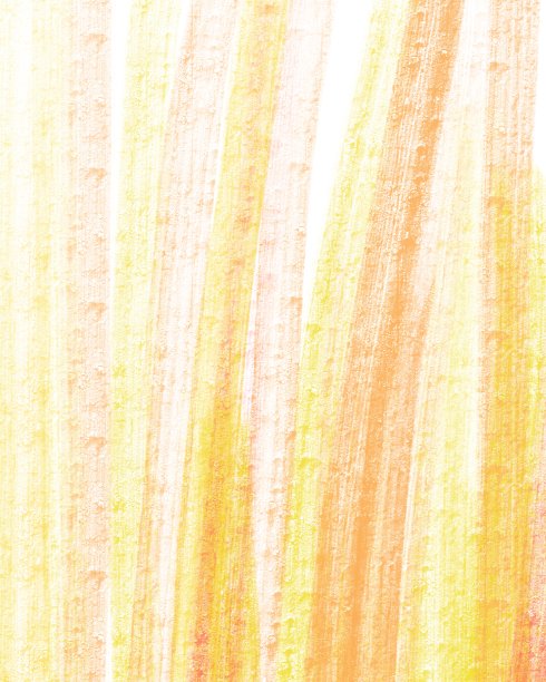 抽象的阳光明媚的背景图片下载