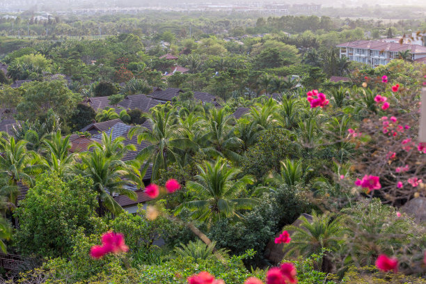 树林里的度假屋图片下载