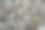 已播种了玉米图片下载