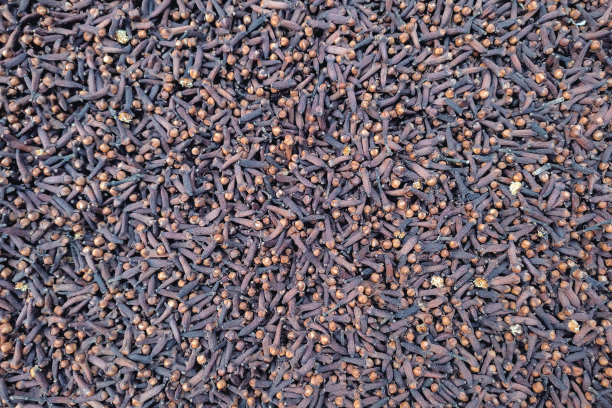 干丁香的俯视图图片下载