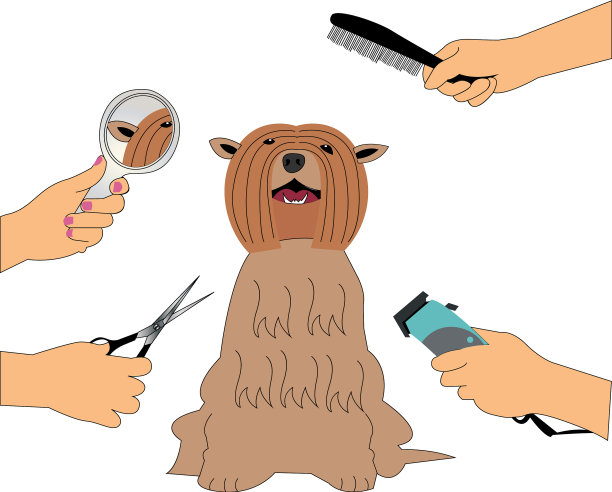 狗狗理发图片下载