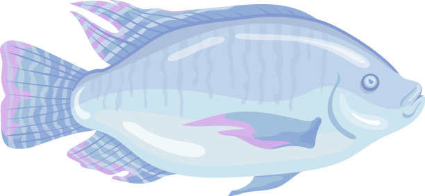 罗非鱼有光泽的鳞片卡通图片下载