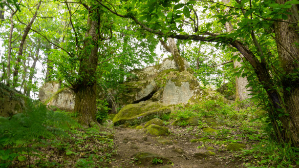 绿色森林里长满青苔的鹅卵石。索契，拉扎列夫斯科，贝伦代沃王国图片下载
