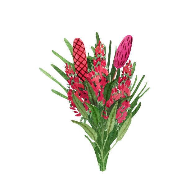 水彩花束与野花和草本植物。可爱的花组成。图片下载