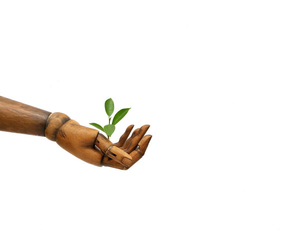 种一棵树图片下载