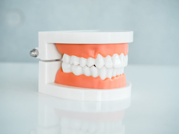 假牙近照，侧视图，灰色背景下白色台面上的亚克力人颌模型。供牙科诊所研究口腔卫生的人造塑胶牙齿。图片下载