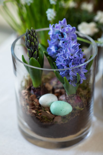 室外咖啡馆的紫丁香花盆图片下载