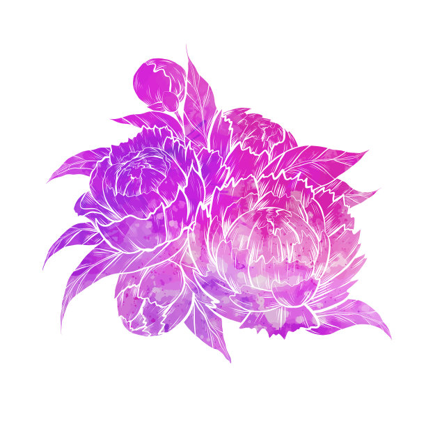 牡丹剪影图片下载