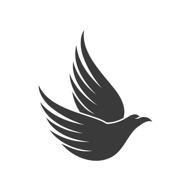 隼鹰鸟图片下载