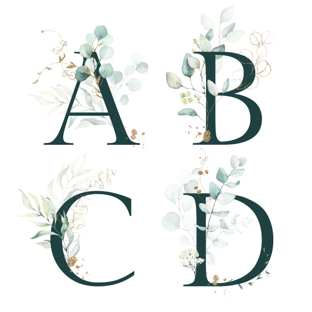 水彩金绿花字母字母标志集大写A、B、C、D与白色金绿植物花枝花束组成。图片下载