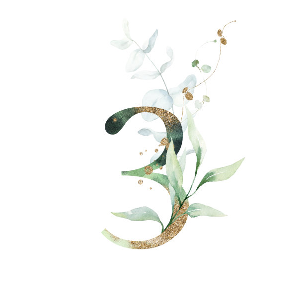 水彩金绿花数字数字符号- 3三三与白色金绿植物花枝花束组成。图片下载