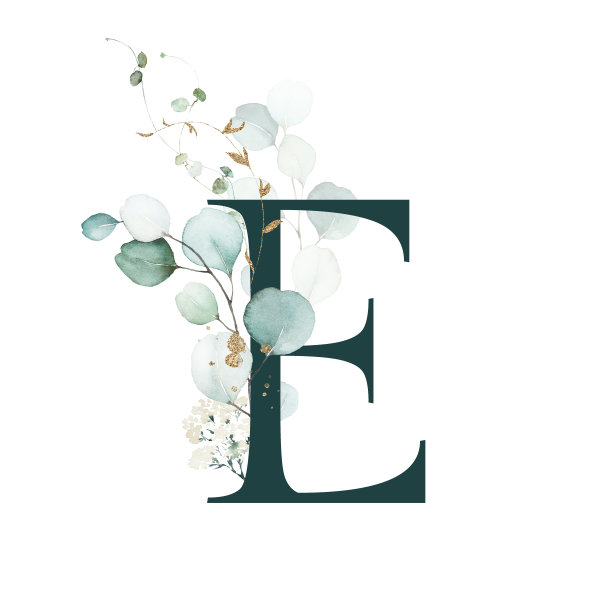 水彩金绿花字母字母符号大写E与白色金绿植物花枝花束组成。图片下载