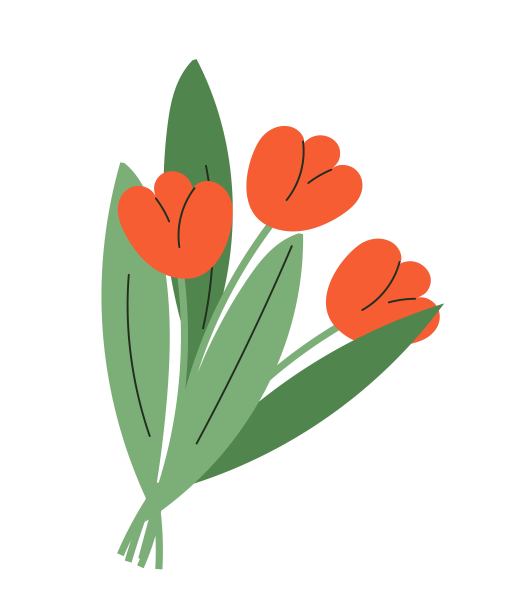 一束红色郁金香图片下载