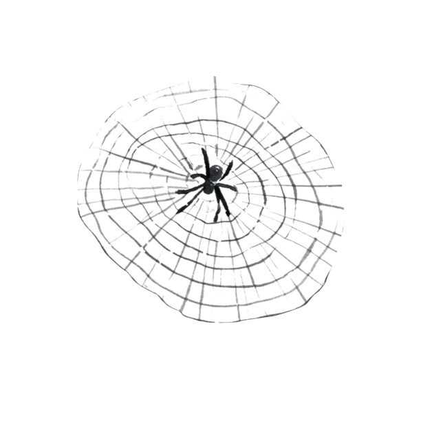 万圣节的蜘蛛网水彩装饰孤立插图。Hand-drown插图图片下载