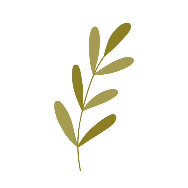 绿色小枝，叶在白色背景上离生。矢量插图手绘平面风格。完美的卡片，标志，装饰，春夏设计。植物剪纸艺术。图片下载