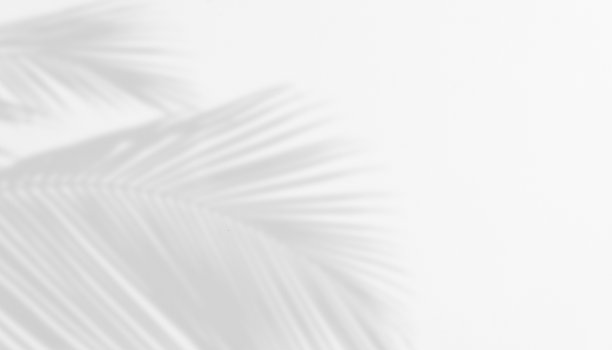 棕榈叶在白色水泥墙上的阴影作为抽象背景。图片下载