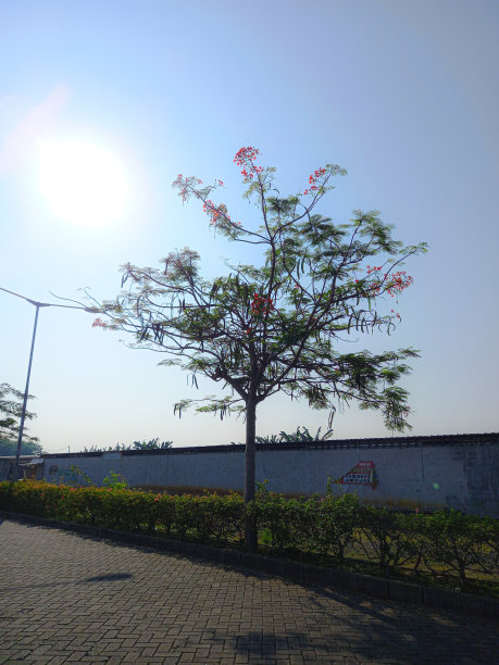 下午的观点图片下载