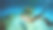 海洋海底的呼吸暂停图片下载
