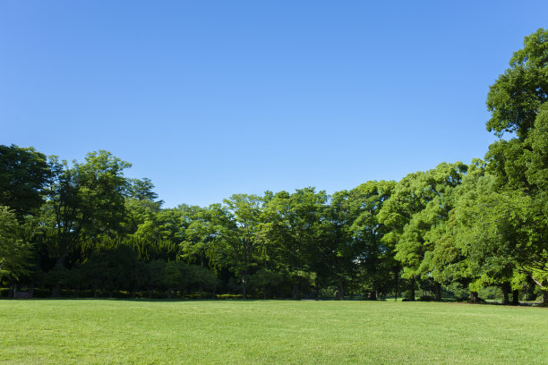 格林公园图片下载