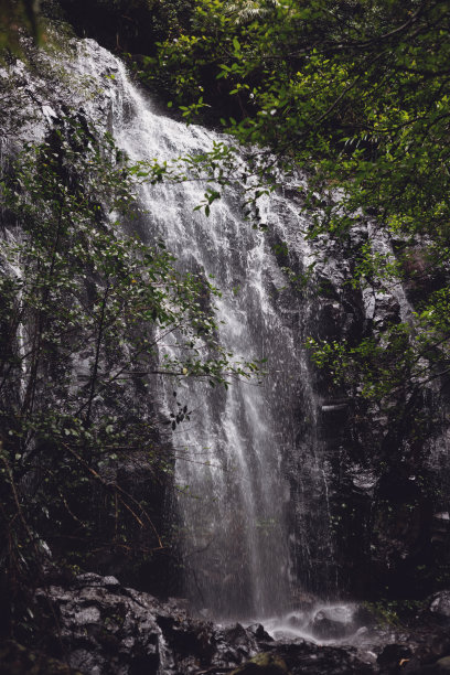 美丽的瀑布隐藏在澳大利亚的热带雨林图片下载