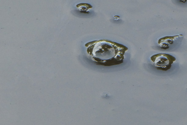 小鱼放出气泡图片下载