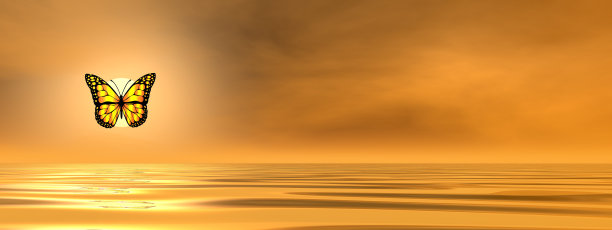 蝴蝶在海洋上飞行- 3D渲染图片下载