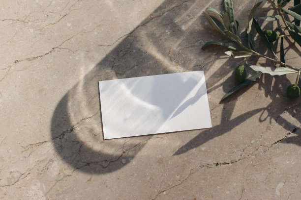 夏季地中海文具静物。空白的名片，邀请用深色的玻璃，鸡尾酒饮料的阴影覆盖。橄榄树的树枝，阳光下的树叶。长长的影子。米色大理石桌面背景图片下载