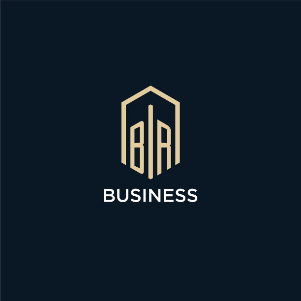 Br初始字母标志与六角形图片下载