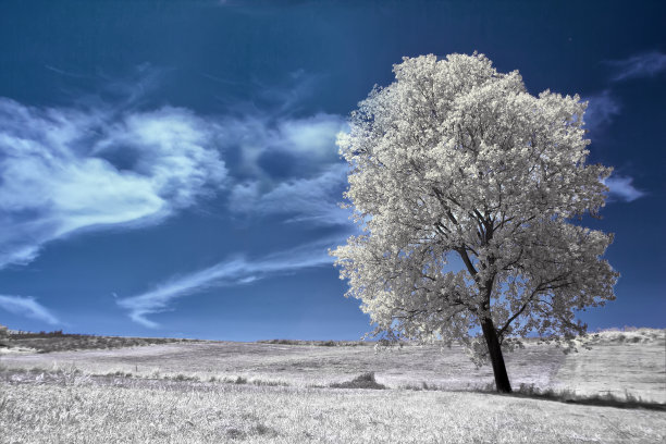 各国拍摄的红外景观照片图片下载