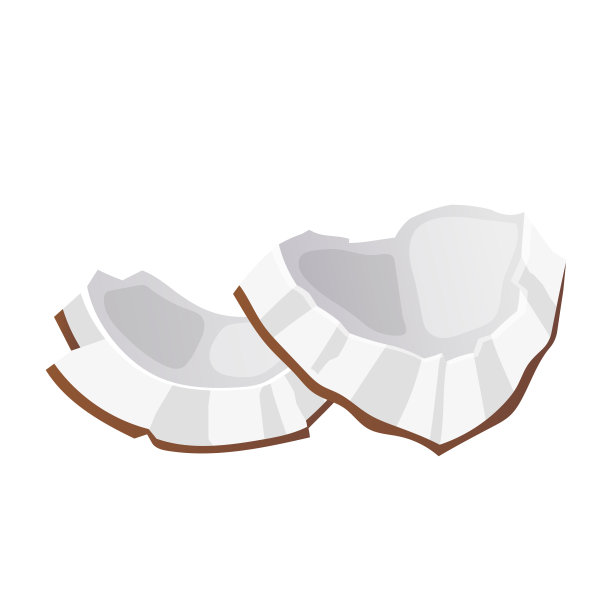 椰子白色卡通矢量插图图片下载