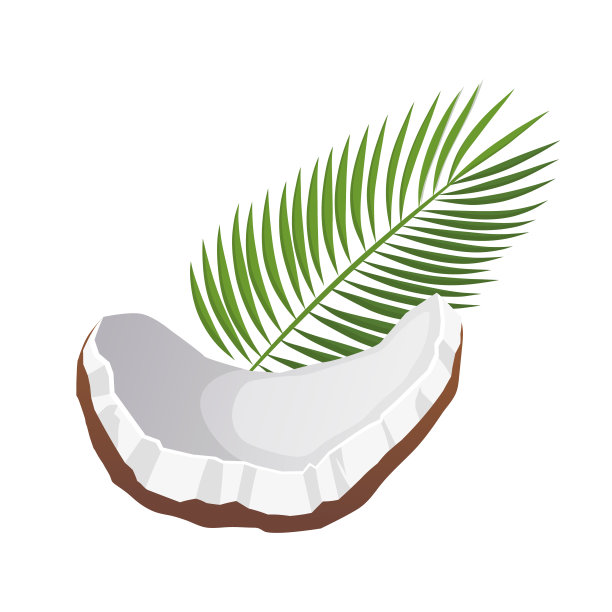 椰子水果卡通矢量插图图片下载