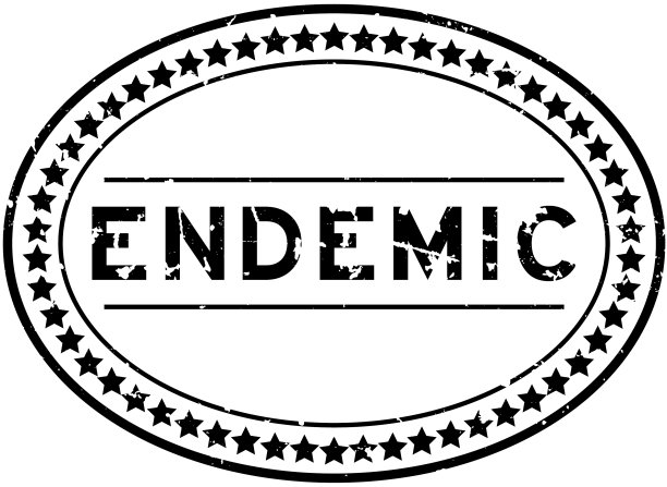 Grunge黑色地方性词椭圆形橡胶印章图片下载