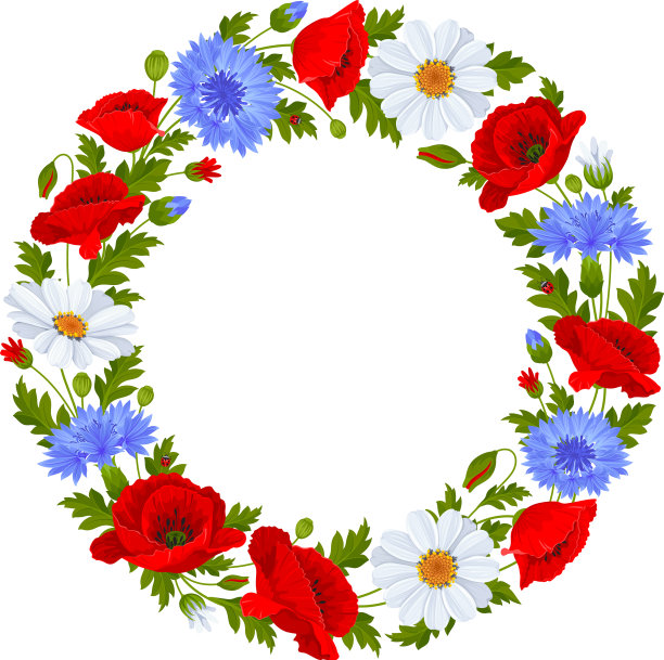 有野花的圆框图片下载