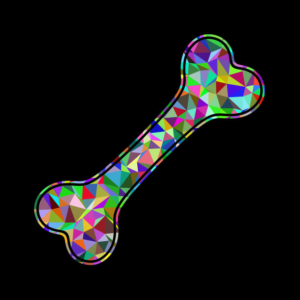 在白色背景上孤立的骨头的黑色图标。图片下载