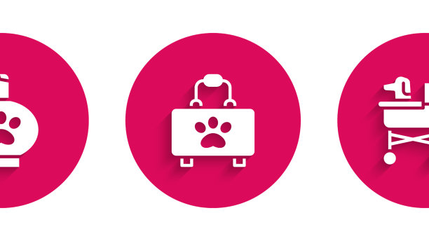 为宠物狗或猫颁发急救箱证书图片下载