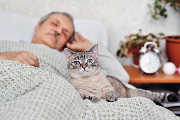 猫躺在床上睡觉的男人的背景图片下载