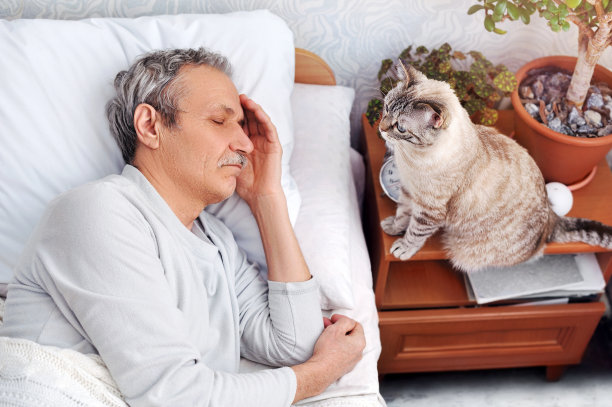 猫在等待着老主人早上醒来图片下载