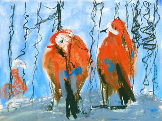 池塘里的野鸭。奥加或红鸭子。图片下载