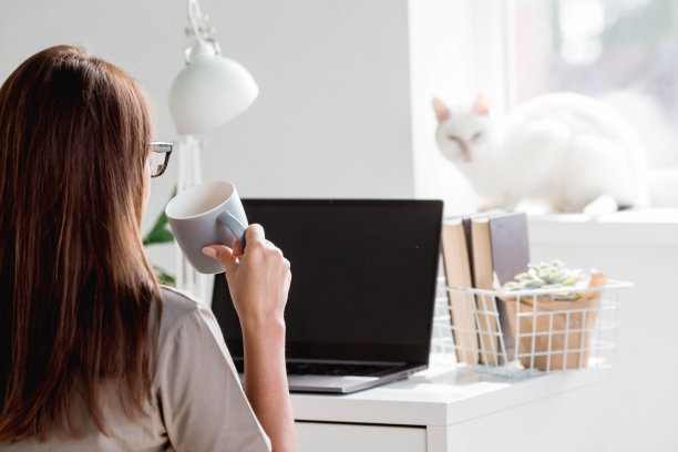 一个年轻快乐美丽的自由职业女商人，坐在家里的办公室里，用笔记本电脑，智能手机和喝咖啡。女人在家工作。猫在背景里。图片下载