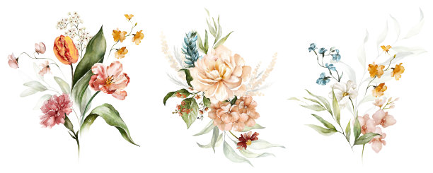 水彩花卉花束集合集-插图与腮红粉红色，红色，黄色，橙色，白色，蓝色，黄色生动的花朵，绿色的叶子。以前成分。图片下载